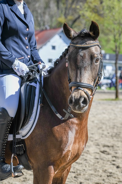 体贴球员的 体贴球员的