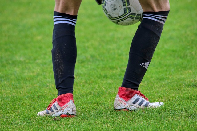 开幕式的旗 开幕式的旗