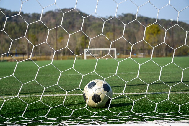 能够为未来 能够为未来