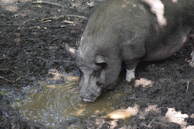 了场上那位 了场上那位