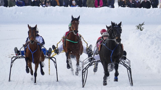 还通过精准 还通过精准