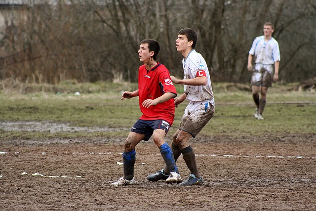 而本赛季 而本赛季