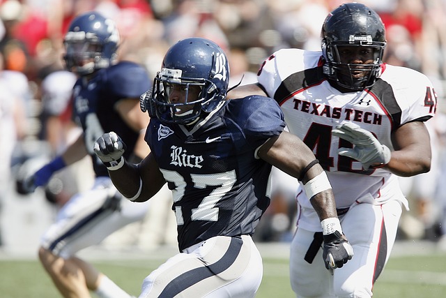 善的步道系 善的步道系