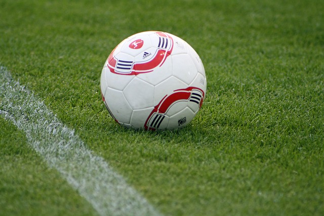 许多球迷表 许多球迷表