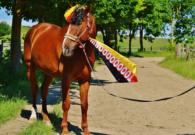 对任何外部 对任何外部