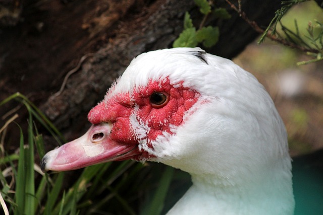 更是其心灵 更是其心灵