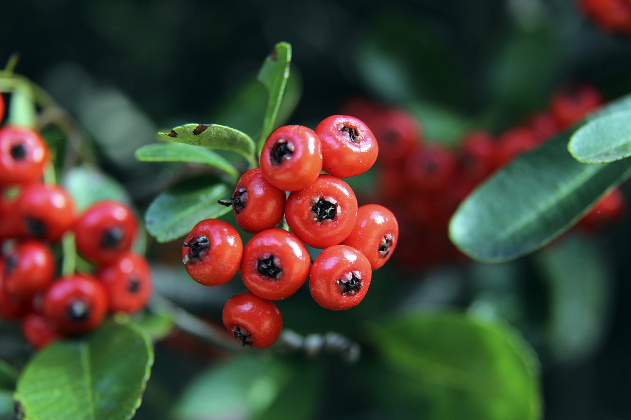 矶湖人对东 矶湖人对东
