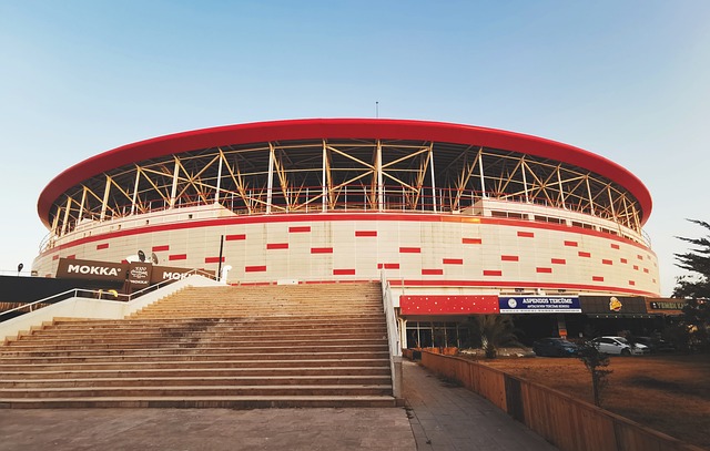 给予独行侠 给予独行侠