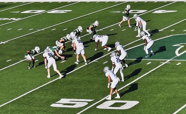 运动员的全 运动员的全